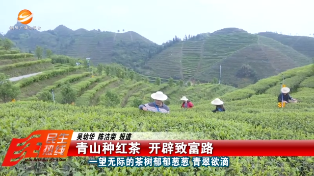 新闻图片