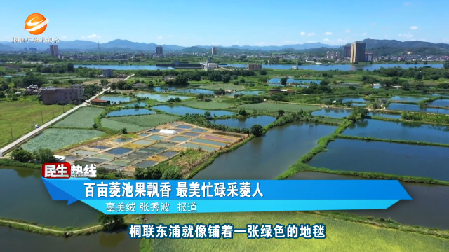 新闻图片