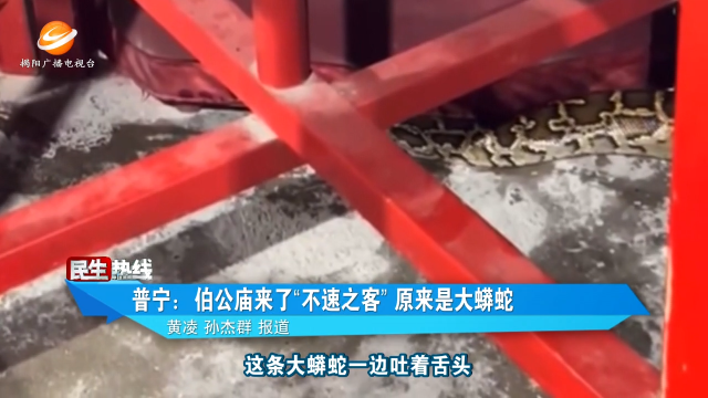 新闻图片
